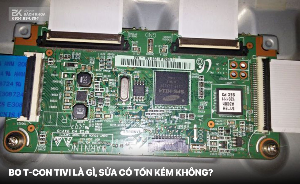 T con Tivi la gi 05