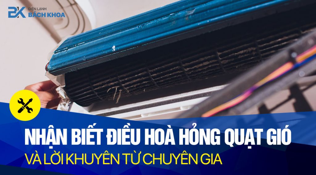 nhan biet dieu hoa hong quat gio bk
