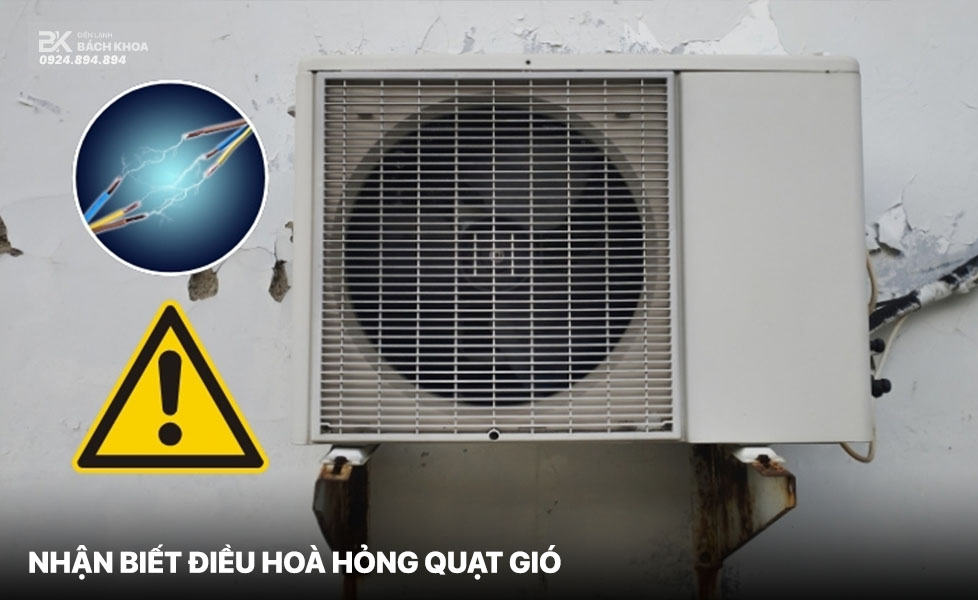 nhan biet dieuf hoa hong quat gio bk 2 nhan biet dieuf hoa hong quat gio bk 2