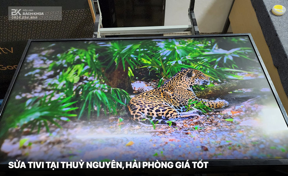 sua tivi tai thuy nguyen 01