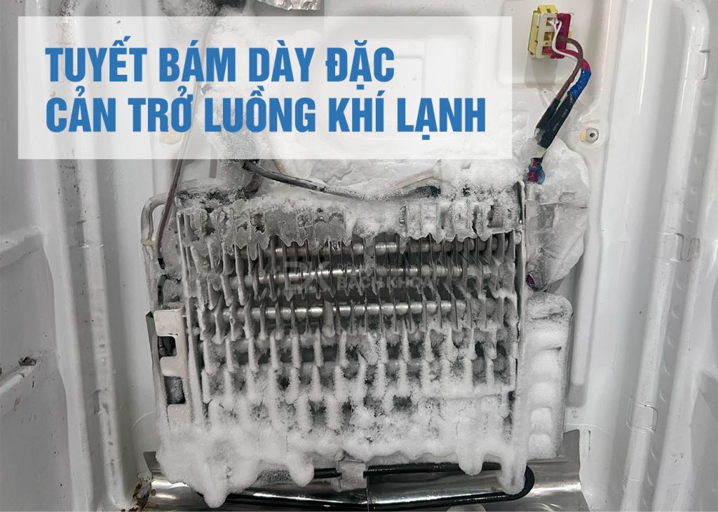 tu lanh bi bo da dong tuyet 02