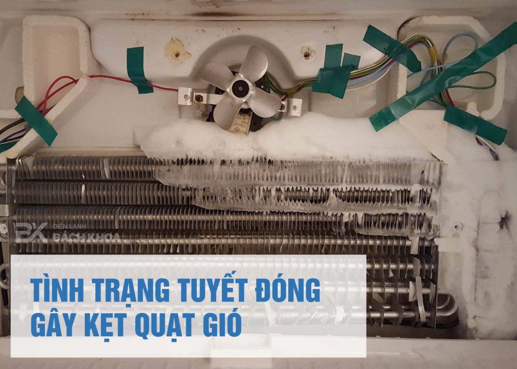 tu lanh bi bo da dong tuyet 05