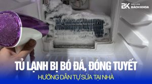 tu lanh bi bo da la gi